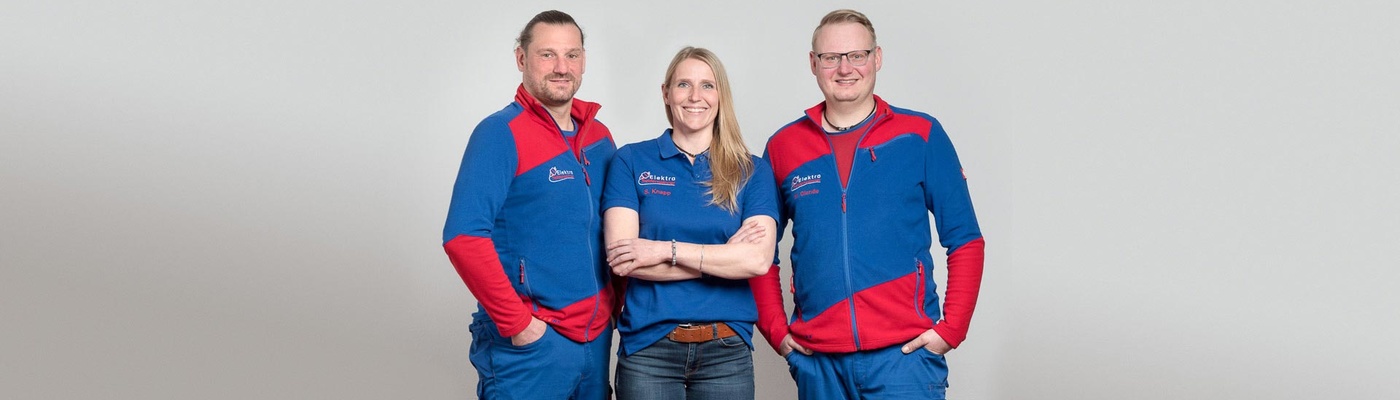 Team Elektro Seidenspinner